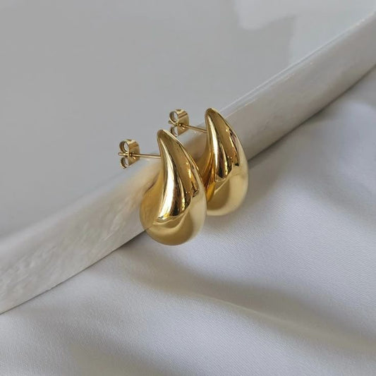 Bottega Veneta Drop Earrings