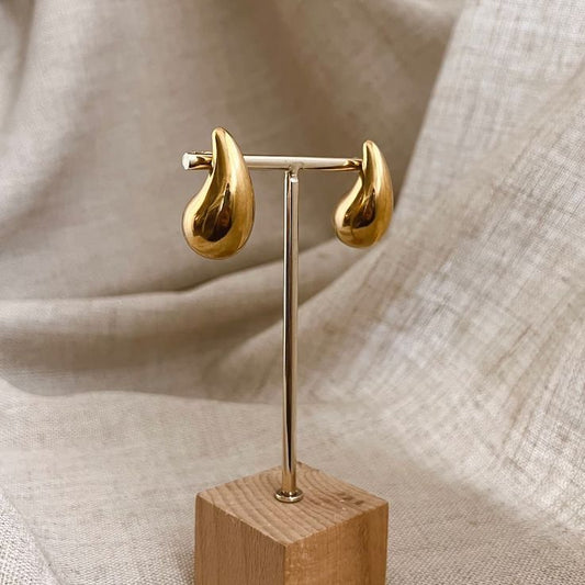 Bottega Veneta Drop Earrings